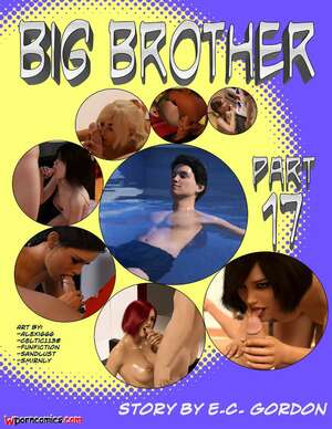 Porn comic Big Brother. Chapter 17. Sandlust.