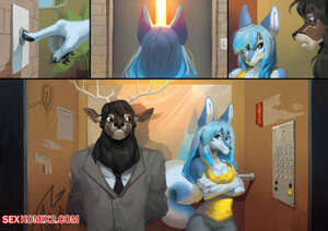 Porn comic Furry. Elevator