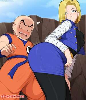 Porn comic Krilln and Android 18s First Meeting. afrobull