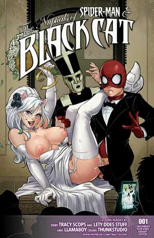 Porn comic The Nuptials. Spider-Man.