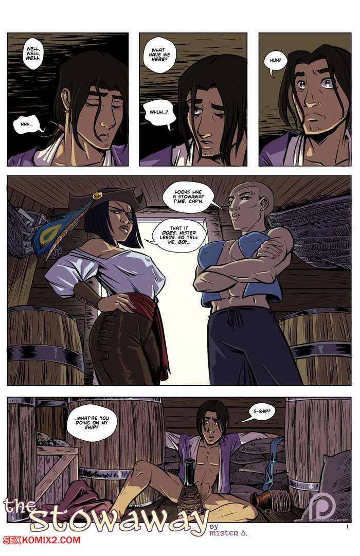 Porn comic The Stowaway. Chapter 1. Mister D.